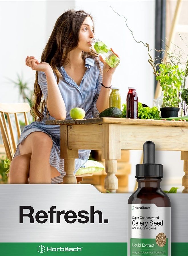 Celery Seed Extract | Liquid Drops | 2 fl oz Tincture | Apium Graveolens | Vegetarian, Non GMO & Gluten Free | by Horbaach