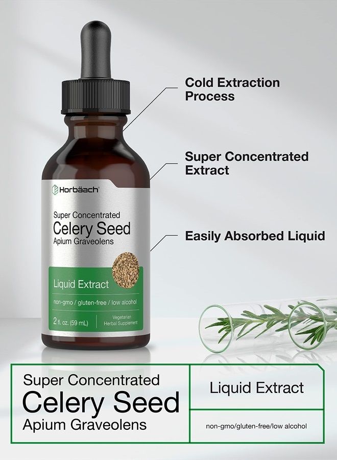 Celery Seed Extract | Liquid Drops | 2 fl oz Tincture | Apium Graveolens | Vegetarian, Non GMO & Gluten Free | by Horbaach