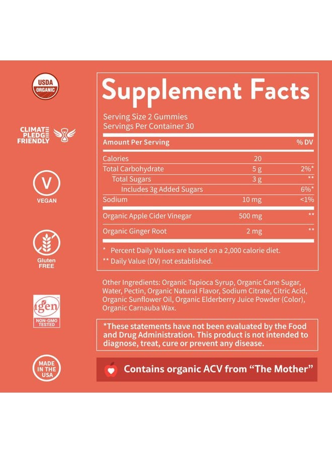 WellPath Pure ACV Gummies (2 Pack) - Apple Cider Vinegar with Mother - USDA Organic Gummy with Ginger for Gut Health | Vegan, Non-GMO, 120 Ct - Image 5