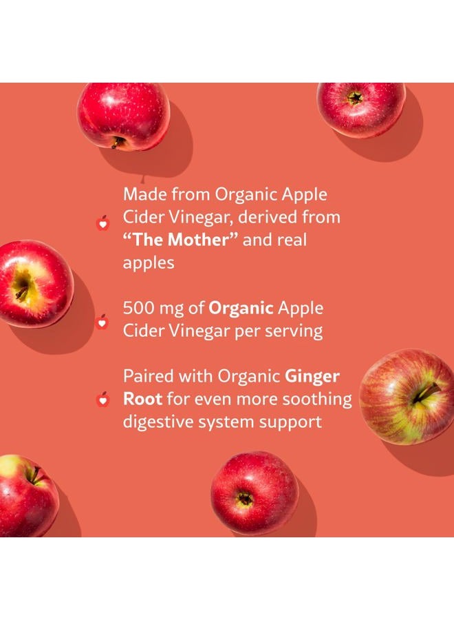 WellPath Pure ACV Gummies (2 Pack) - Apple Cider Vinegar with Mother - USDA Organic Gummy with Ginger for Gut Health | Vegan, Non-GMO, 120 Ct - Image 3