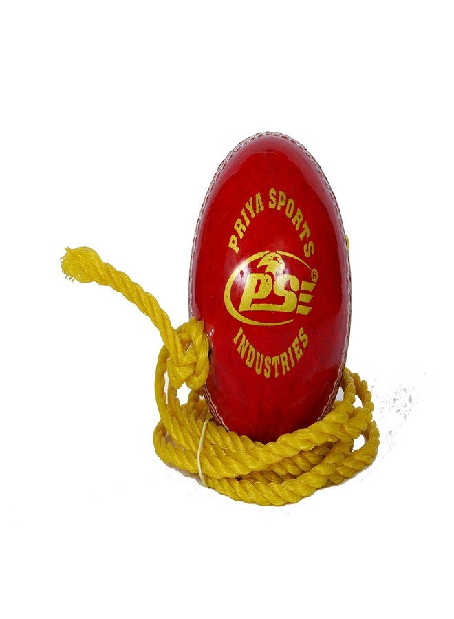 PSE Priya Sports Red Leather Hanging Ball - Image 2