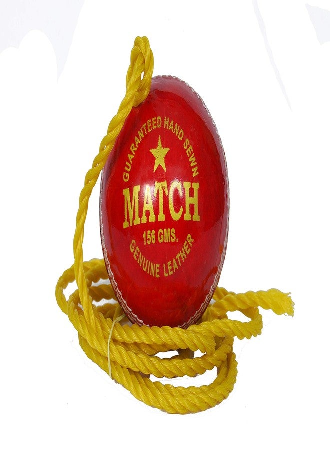 PSE Priya Sports Red Leather Hanging Ball - Image 3