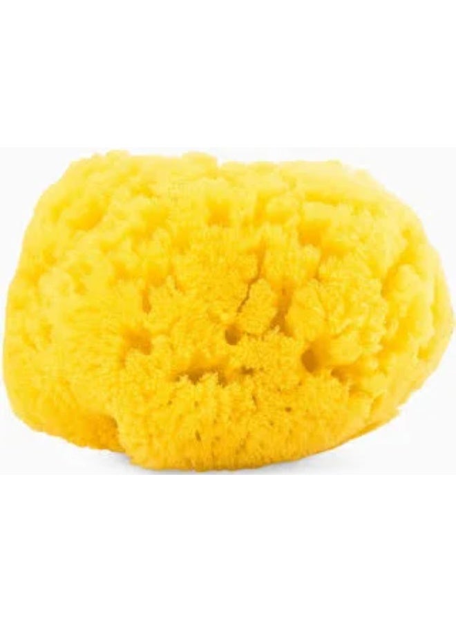 Chicco Natural Sea Sponge Medium 0m+ - Image 1