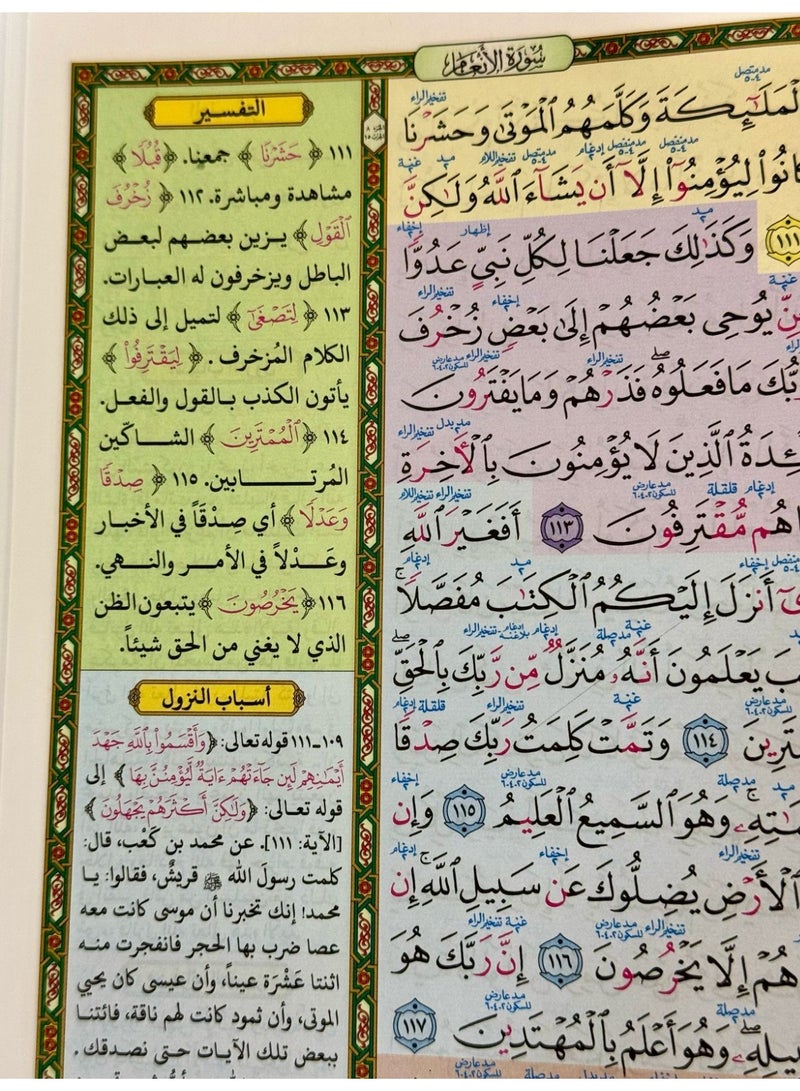 The Quran of the Proficient Reader (Thematic Detail with Tajweed) Text size 17 cm * 24 cm - Image 3