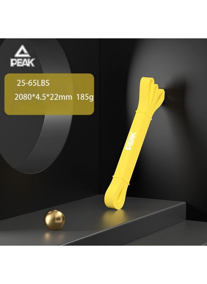 PEAK - Resistance Band Elastic Fitness Band Men And Women Pull-Up Rope Pull-Up Auxiliary Strength Training Yoga Chest And Back - Image 1