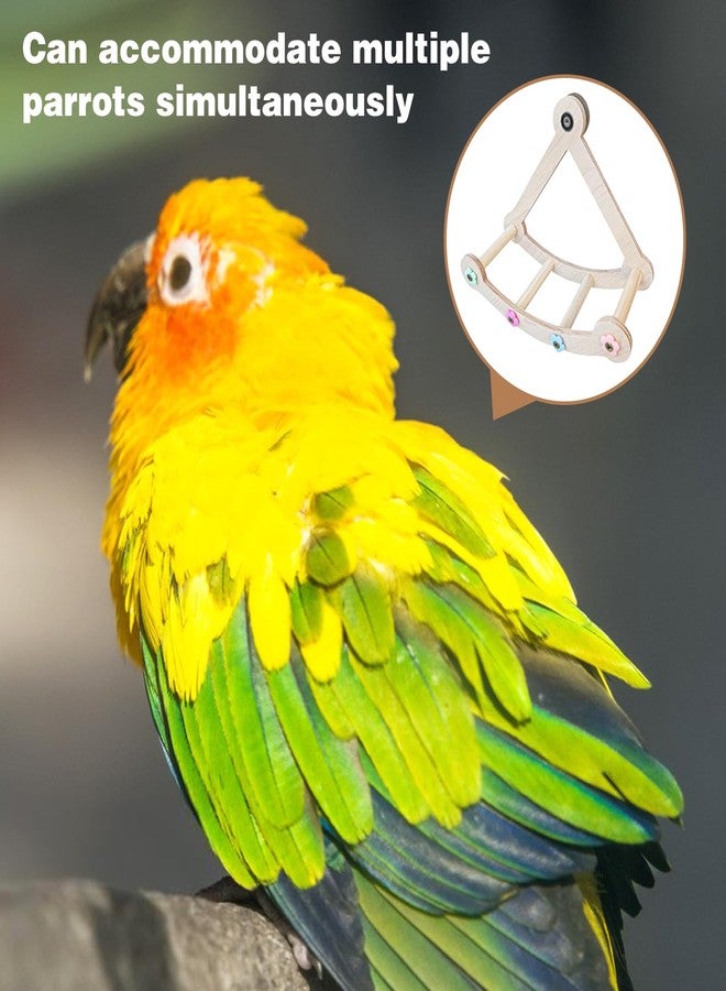 DINTSTYLE Bird Stand Perch Toy,Interactive Rocking Parakeet Toy and Perch, Wooden Exercise Wheel Cockatiel Toy, Intelligence Puzzle Enrichment Toys,Bird Playground Play Stands for Conure Budgie(A) - Image 4