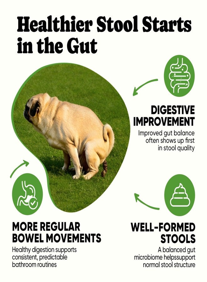 BuddyCheer Probiotics for Dogs - Dog Probiotics with 5 Enzymes & 4 Prebiotics for Itchy Skin, Pet Probiotics lab for Digestion & Gut Support, Helps Diarrhea, Yeast Infection, Allergies & Immune System -180 Chews - Image 3