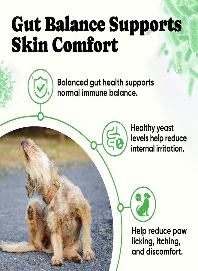BuddyCheer Probiotics for Dogs - Dog Probiotics with 5 Enzymes & 4 Prebiotics for Itchy Skin, Pet Probiotics lab for Digestion & Gut Support, Helps Diarrhea, Yeast Infection, Allergies & Immune System -180 Chews - Image 4