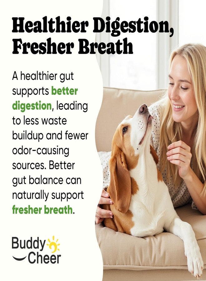 BuddyCheer Probiotics for Dogs - Dog Probiotics with 5 Enzymes & 4 Prebiotics for Itchy Skin, Pet Probiotics lab for Digestion & Gut Support, Helps Diarrhea, Yeast Infection, Allergies & Immune System -180 Chews - Image 5