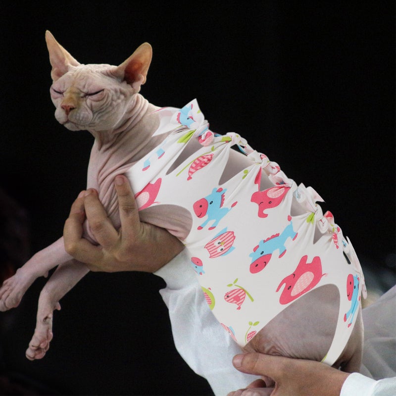 Professional Cat Recovery Suit Female Cat Breathable Sterilization Suit Gown Clothes Speical Costume For Cat Supplies - Size (Random Pattern) - Image 3