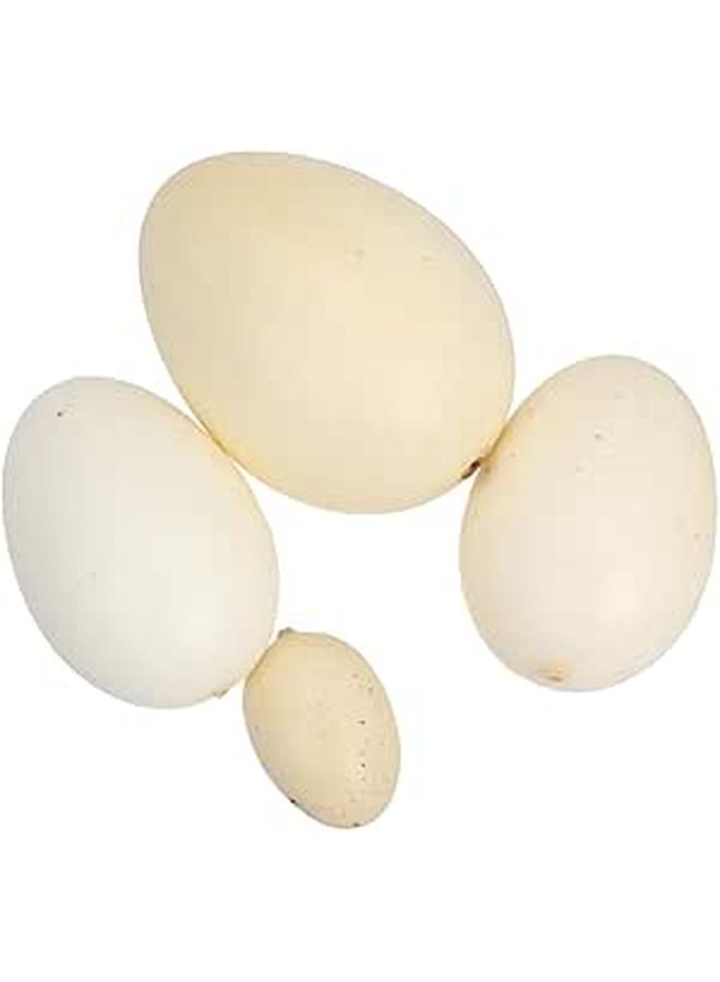 Assorted Realistic Bird Egg Models Simulation Eggs Art Practice Toy - Image 1