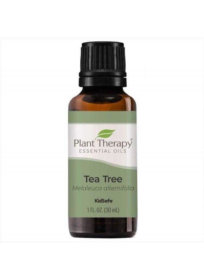 Plant Therapy - Tea Tree Essential Oil 100% Pure, Undiluted, Natural Aromatherapy, Therapeutic Grade 30 mL (1 oz) - Image 1
