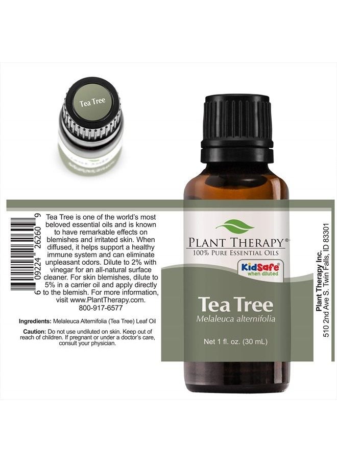 Plant Therapy - Tea Tree Essential Oil 100% Pure, Undiluted, Natural Aromatherapy, Therapeutic Grade 30 mL (1 oz) - Image 1