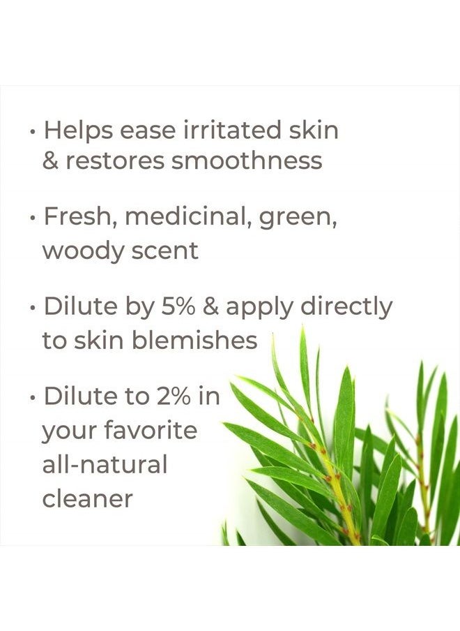 Plant Therapy - Tea Tree Essential Oil 100% Pure, Undiluted, Natural Aromatherapy, Therapeutic Grade 30 mL (1 oz) - Image 1