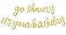 BEISHIDA Gold Go Shawty Its Your Birthday Banner 114FeetNO DIY Hip Hop Theme Glitter Happy Birthday Banner PreStrung Gold Rap Theme Happy Birthday Sign for Man Women birthday Party Supply - Image 2