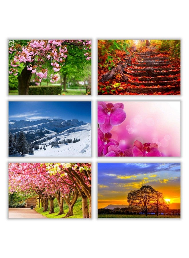 PARTH IMPEX Seasonal Nature Postcards - (Pack Of 54) 4"X6" Bulk Variety Of Fall Autumn Winter Summer Spring National Parks Theme With Mailing Side - All Occasion Cards - Image 4
