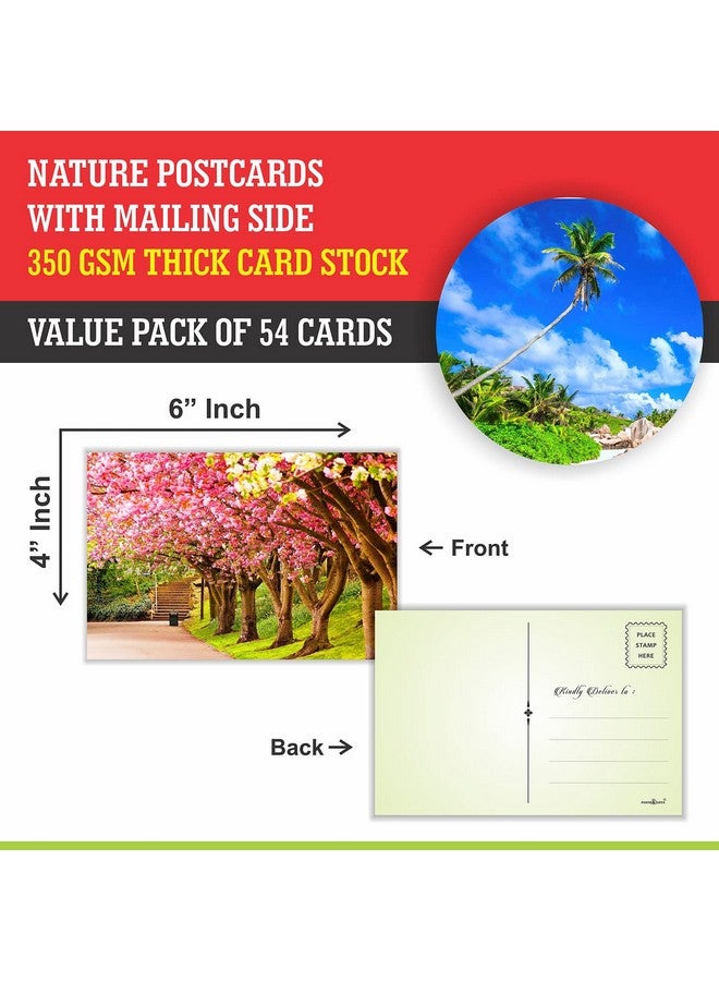PARTH IMPEX Seasonal Nature Postcards - (Pack Of 54) 4"X6" Bulk Variety Of Fall Autumn Winter Summer Spring National Parks Theme With Mailing Side - All Occasion Cards - Image 3