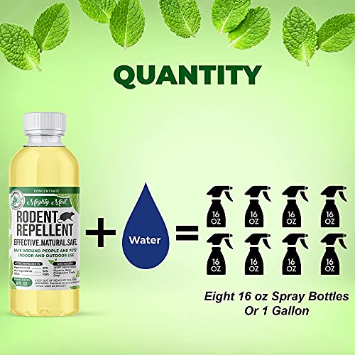 Mighty Mint Peppermint Oil Rodent Repellent Concentrate – Natural Indoor & Outdoor Control for Mice and Rats – Plant-Based, Extra-Strong Formula - 16 oz - Image 3