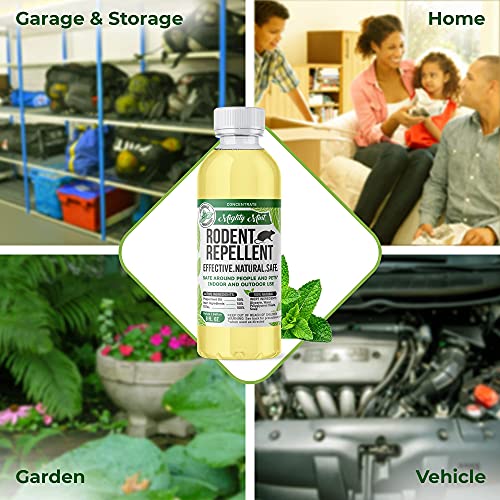 Mighty Mint Peppermint Oil Rodent Repellent Concentrate – Natural Indoor & Outdoor Control for Mice and Rats – Plant-Based, Extra-Strong Formula - 16 oz - Image 5