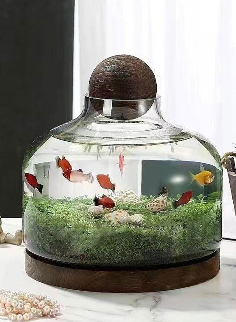 Aquarium terrarium glass tank - Image 2