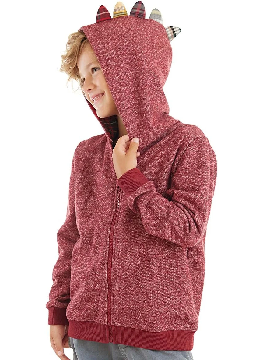 Denokids Dragon Boy Hooded Sweatshirt
