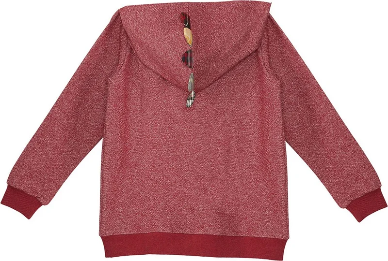 Denokids Dragon Boy Hooded Sweatshirt