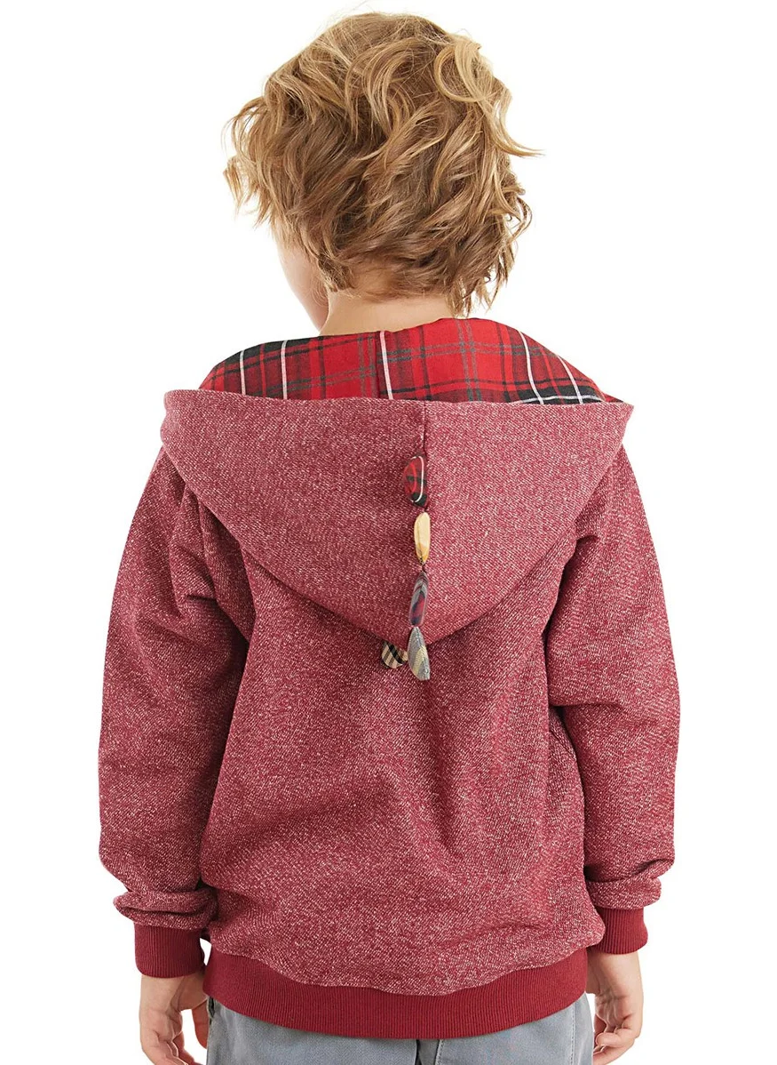 Denokids Dragon Boy Hooded Sweatshirt
