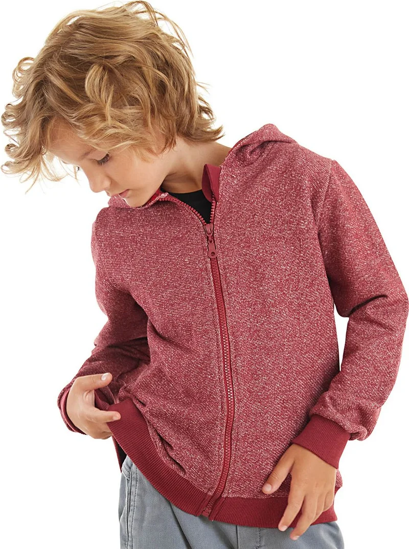 Denokids Dragon Boy Hooded Sweatshirt