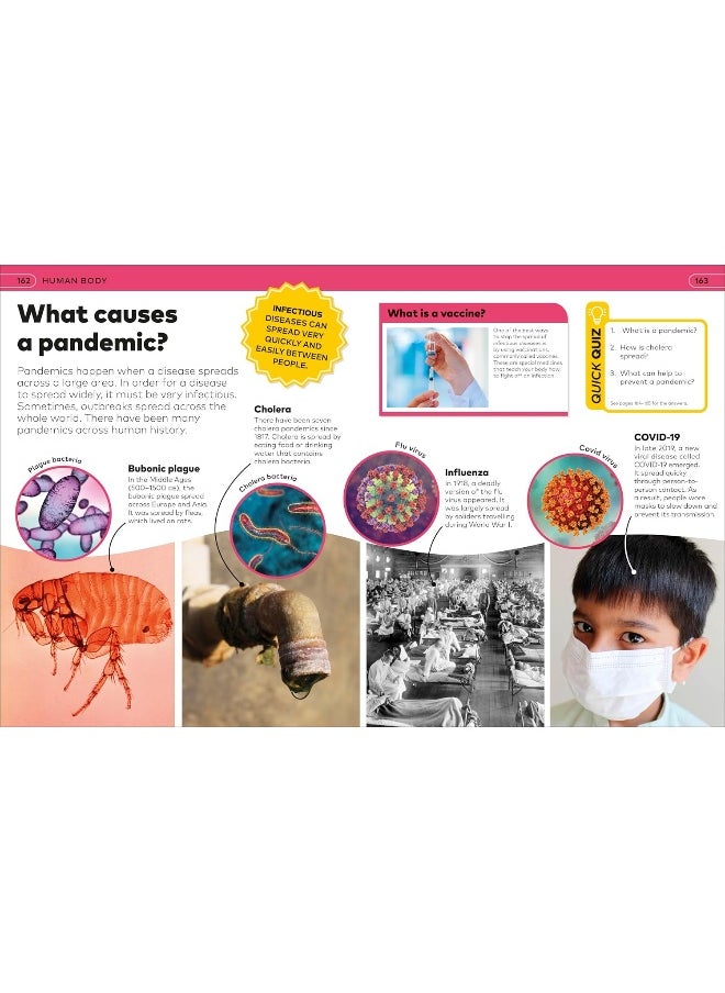 Why? Encyclopedia: Brilliant Answers to Baffling Questions