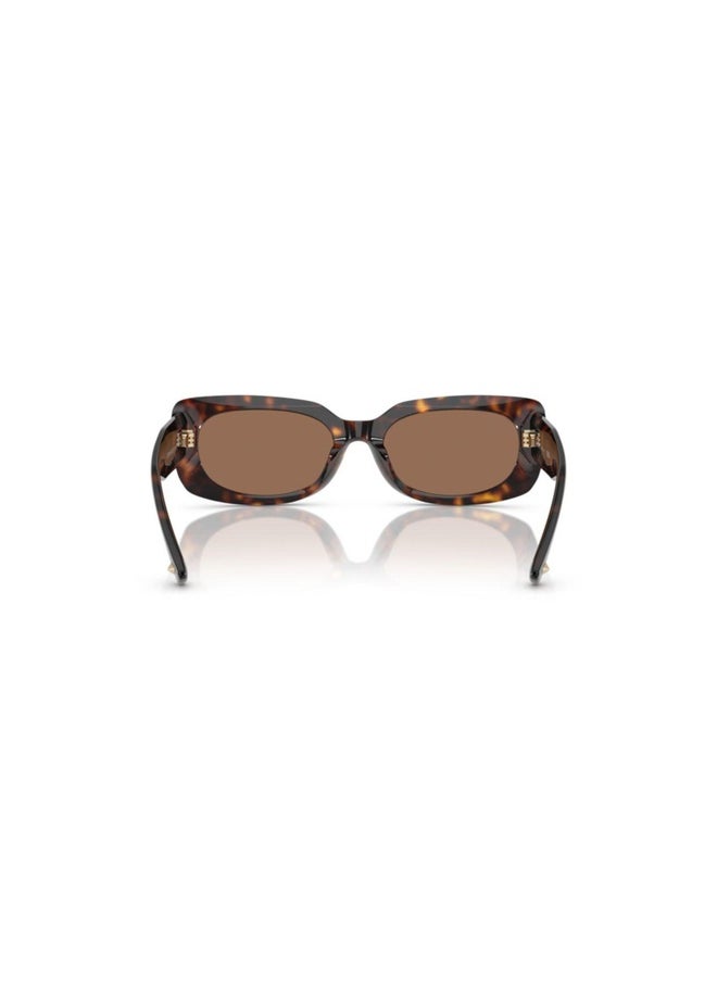Jimmy Choo Woman PILLOW  SUNGLASSES- JC 5029U - lense size:54mm - HAVANA  - Image 3