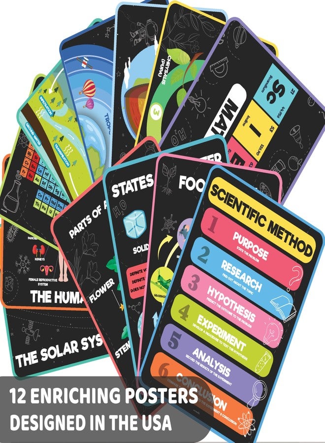 jackinthebox 12 Science Posters for Classroom - 12 x 17 inches Laminated, Middle School Science Posters, Science school room Decor, Science Bulletin Board Sets for Kids - Image 3