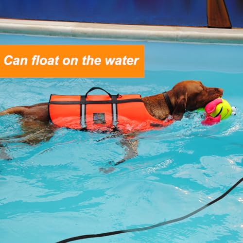 Vivifying Floating Long Dog Leash, 32ft Dog Training Leash for Outside and Yard, Durable Long Line Lead with Soft Handle for Camping, Hiking, Swimming, Beach and Lake (Black) - Image 2