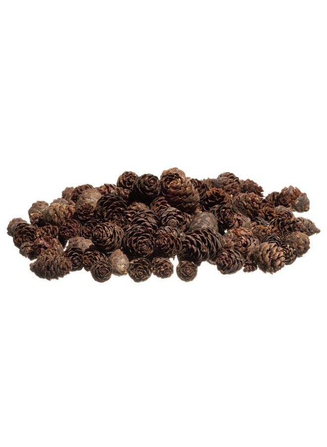 Nautical Crush Trading Pine Cones Small Pine Cones Mini Black Spruce Pine Cones Pine Cone Filler (240ml) - Image 4
