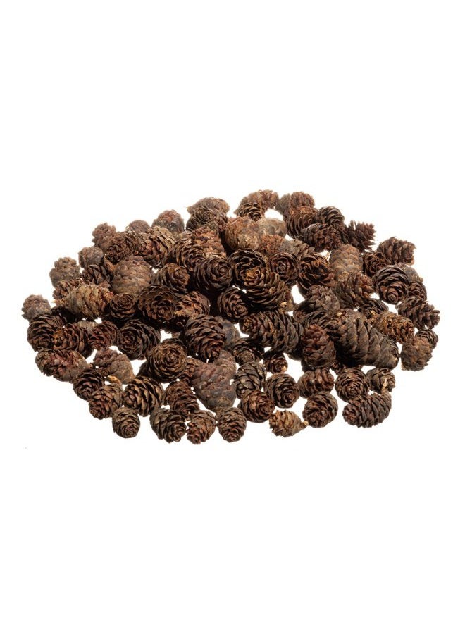 Nautical Crush Trading Pine Cones Small Pine Cones Mini Black Spruce Pine Cones Pine Cone Filler (240ml) - Image 1