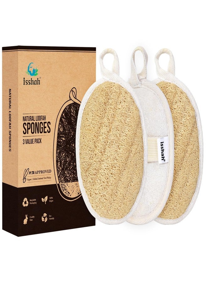 Isshah Natural Loofah Sponges, FSC Certified and PETA Approved Shower Loofah Sponge, 3 Pack - Image 1