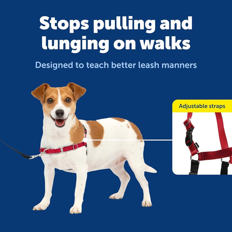 PetSafe Easy Walk No-Pull Dog Harness - Small, Red/Black - Ultimate Control for Better Leash Manners - Image 3