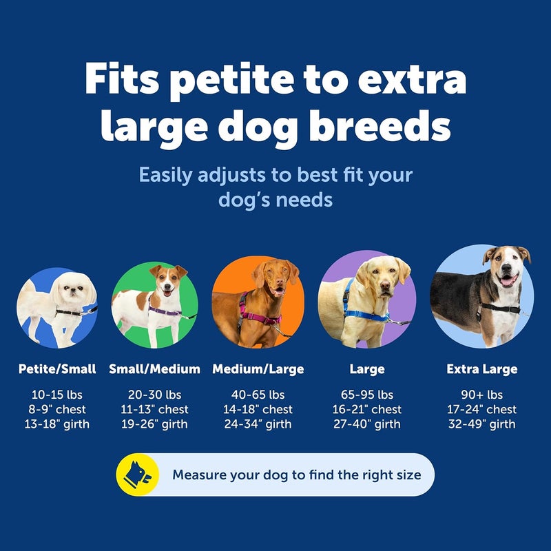 PetSafe Easy Walk No-Pull Dog Harness - Small, Red/Black - Ultimate Control for Better Leash Manners - Image 5