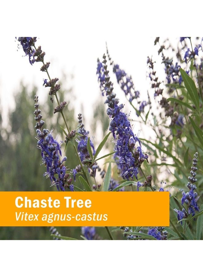 HERB PHARM Chaste Tree Liquid Extract for Female Reproductive System Support - 4 Ounce - Image 1