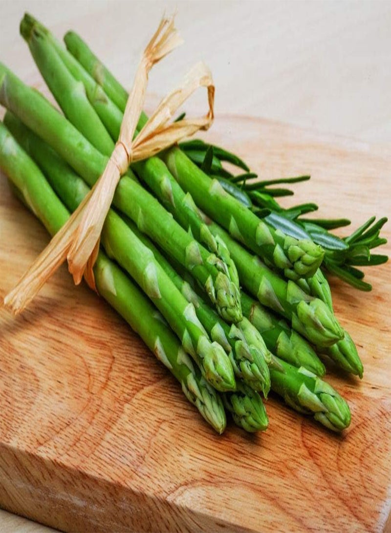 GGOOT 12 Pcs Jersey Giant Asparagus Seeds - Perennials - Image 2