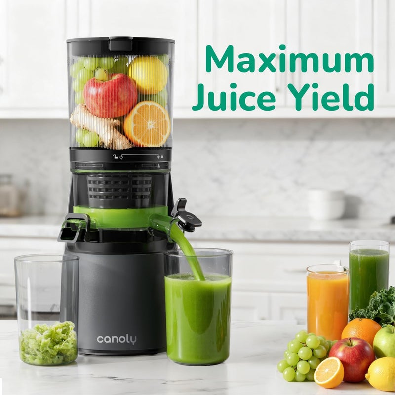 Canoly Cold Press Juicer, 6" Wide Chute with Dual Filters (Juices, Shakes, Nut Milk), Powerful Juicer with Brushless AC Motor, Self Priming System, Space Grey - Image 4