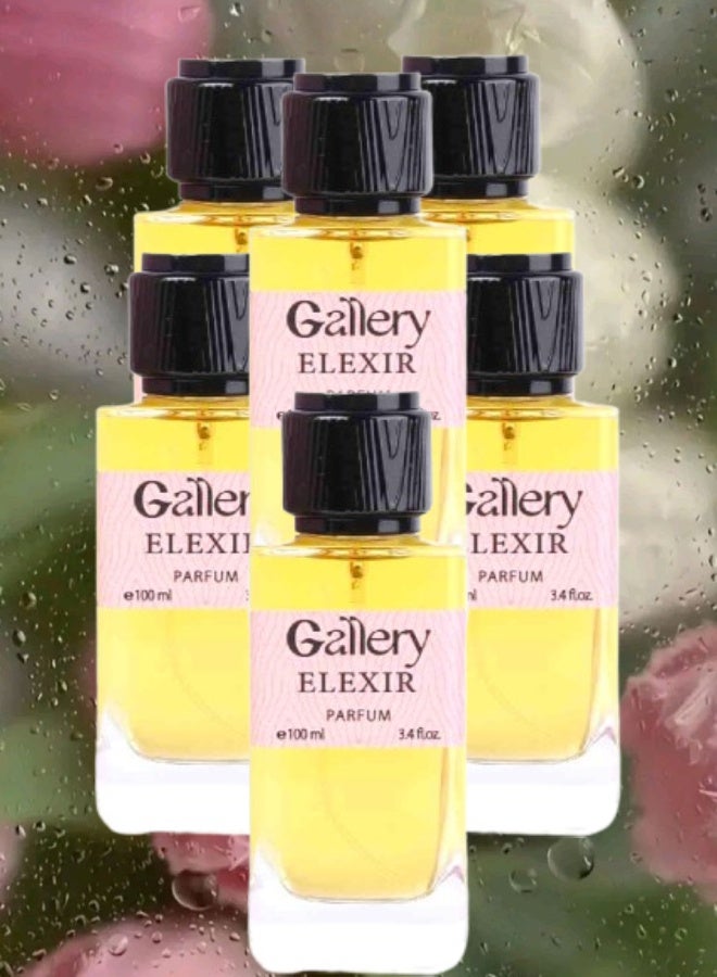 Gallery 6 Pieces Gallery Elexir Perfume 100ML - Image 1