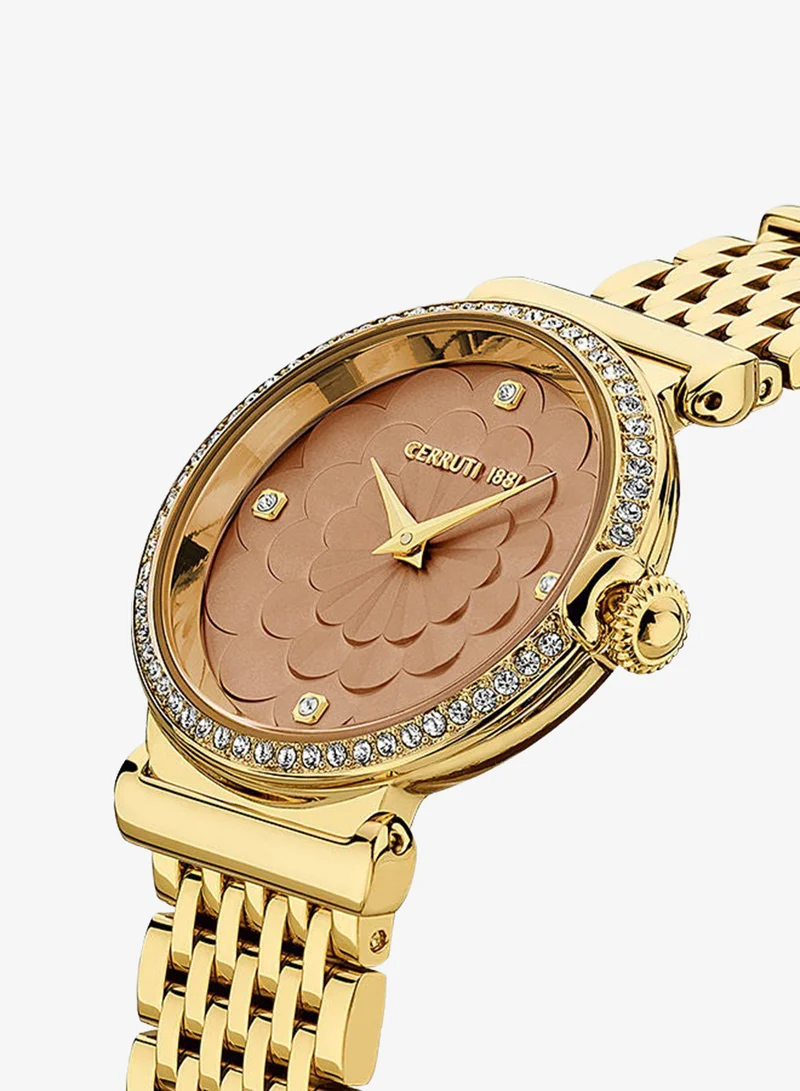 CERRUTI 1881  Women's Round Shape Stainless Steel Band Analog Wrist Watch 28 mm - Brown Dial - CIWLG2226204 for Women | Best Price UAE