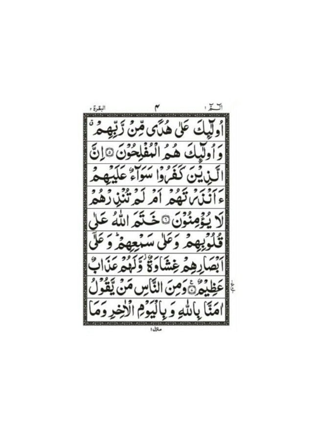 Qur’an Qadratullah, 30 parts, in Urdu script, medium size, measuring 18*24 - Image 4
