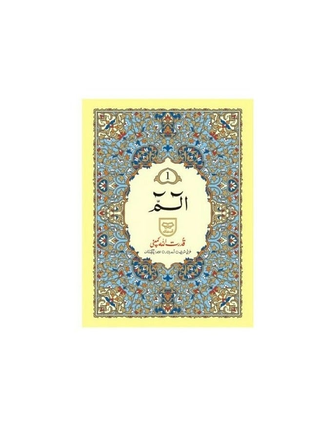 Qur’an Qadratullah, 30 parts, in Urdu script, medium size, measuring 18*24 - Image 3