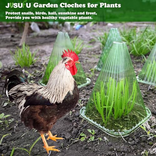 JUSUFU Garden Cloches for Plants20 Pack Plant Covers Reusable Plant Bell Cover Protects Plants from Birds FrostSnails Etc - Image 3