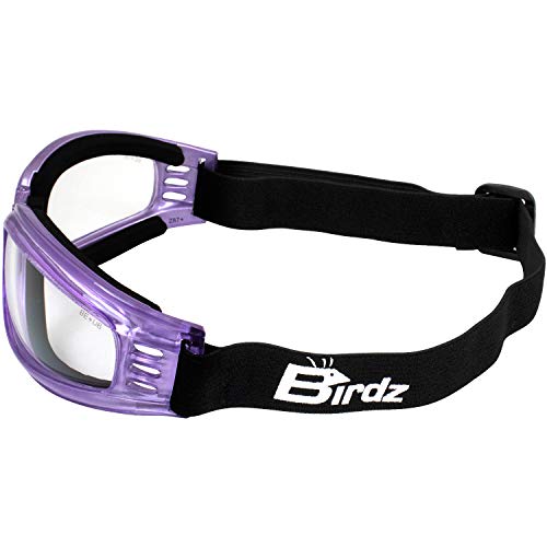 Birdz 2 Pairs of Eyewear Cardinal Women's Purple Padded Motorcycle Goggles with Super Dark & Clear Lenses - Image 4