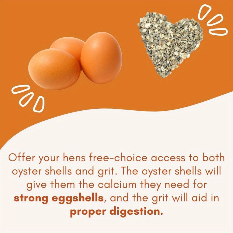 2pcs Hanging Small Animal Feeding Bowls Chicken Oyster Shell Feeder Gravel Feeder Combo For Chickens Coop Accessories Rabbit Watering Tools - Image 5