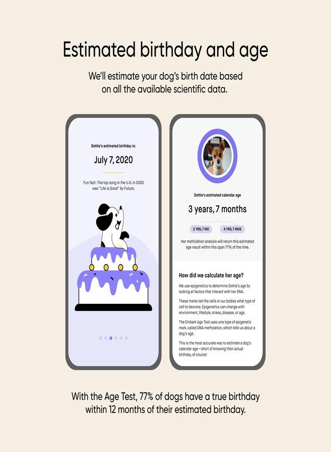 Embark Dog Age Test Kit - Estimates Age and Birthday - DNA Methylation - Best for Dogs Past Puppy Stage - Includes Life Stage Care Tips - Great for Rescue Dogs - Image 2