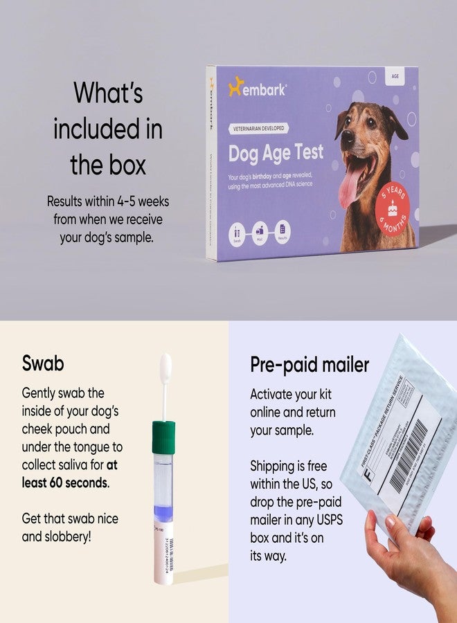 Embark Dog Age Test Kit - Estimates Age and Birthday - DNA Methylation - Best for Dogs Past Puppy Stage - Includes Life Stage Care Tips - Great for Rescue Dogs - Image 4