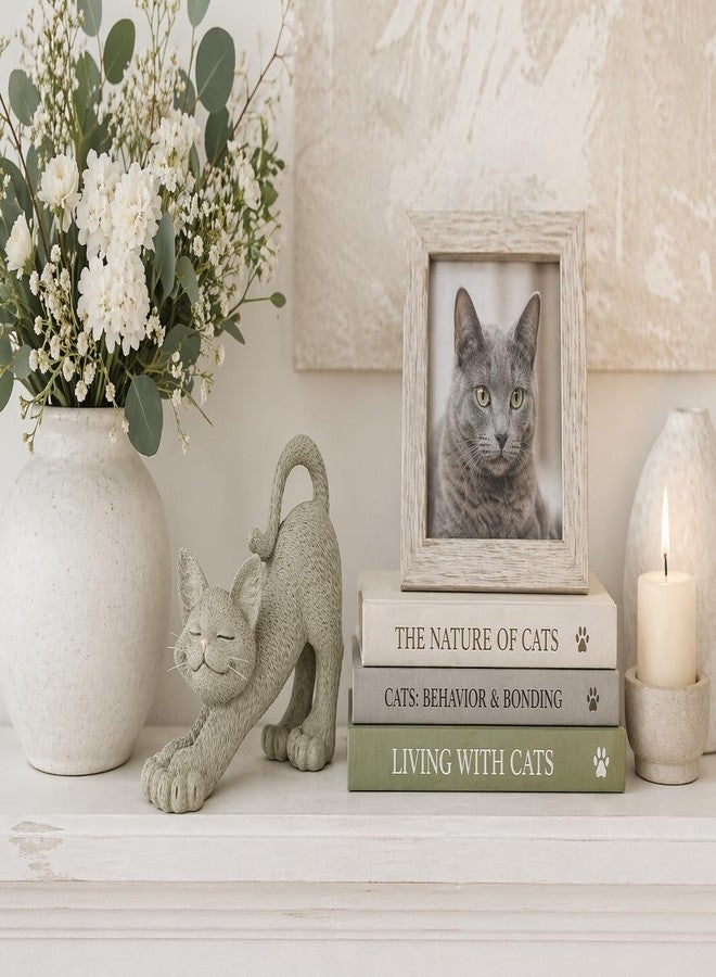 JFSM INC. Whimsical Stretching Gray Cat Figurine - 4.5" Hand-Painted Resin Kitty Sculpture for Relaxing Home or Office Decor - Zen-Inspired Desk Accent or Shelf Ornament for Cat Lovers - Image 4